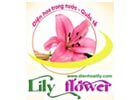 Công ty Cổ phần Điện hoa Lily